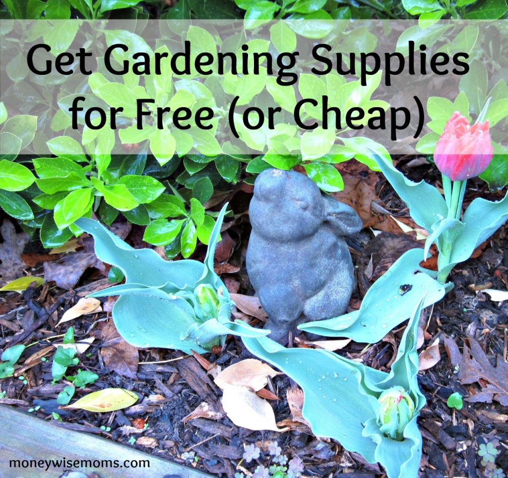 Get Gardening Supplies for Free or Cheap