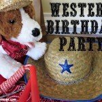 Western Birthday Party